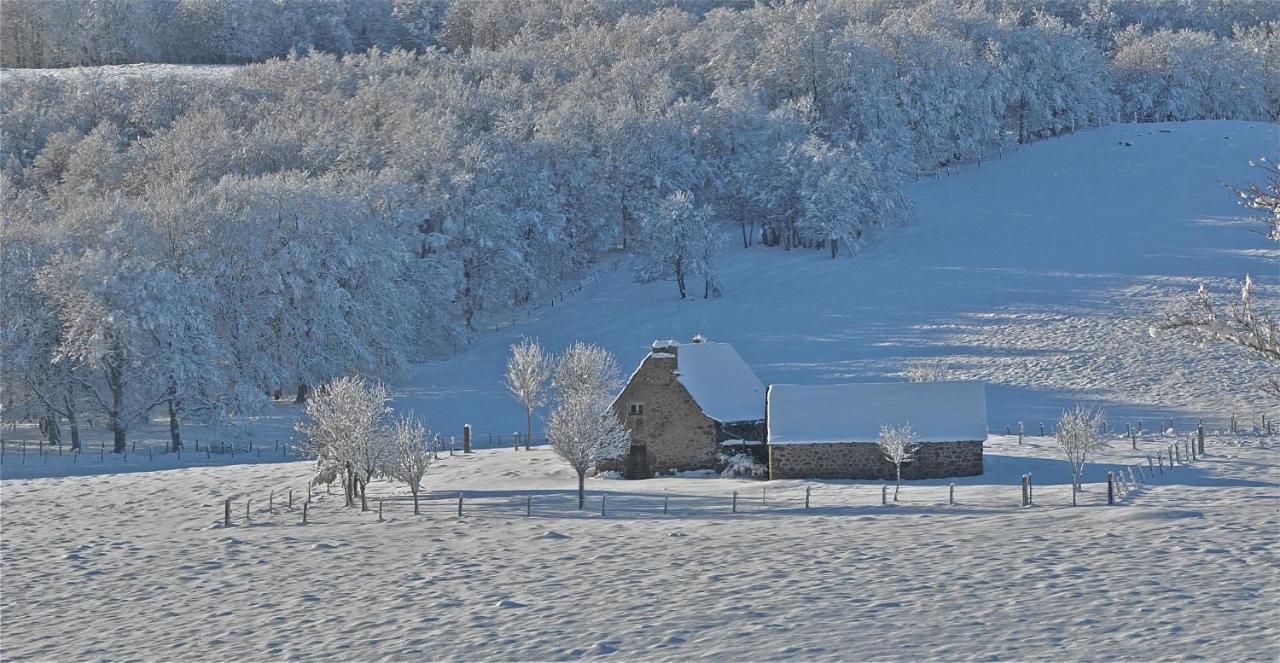 Condom-d'AubracAux Portes D'Aubrac Studio 2 Personnes住宿加早餐旅馆 外观 照片